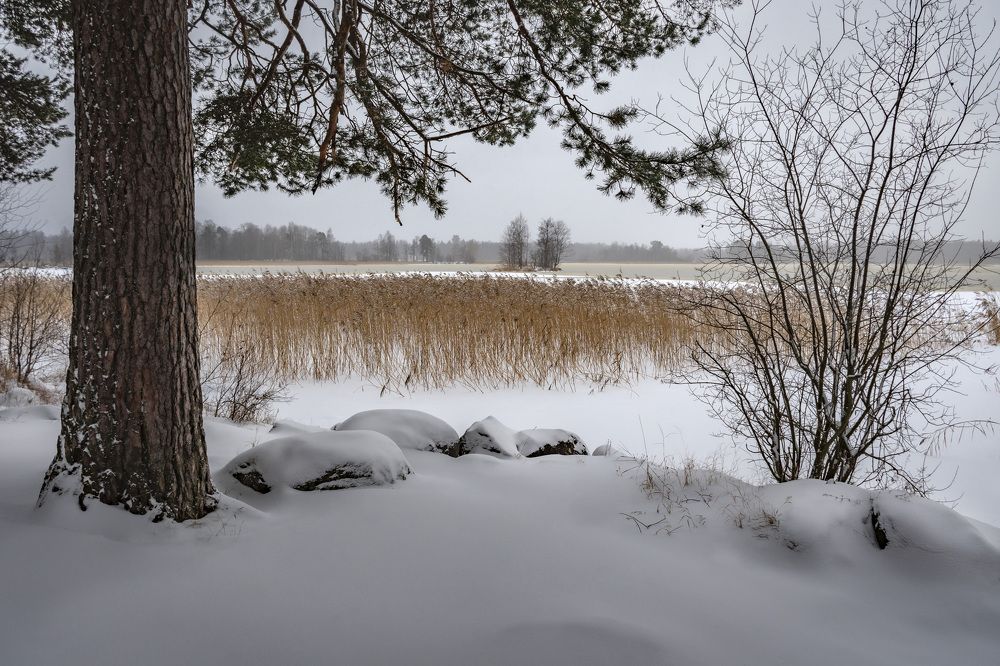 Времена года