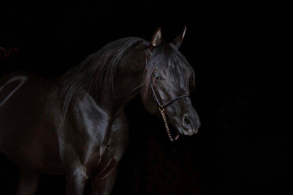 Photograph by Светлана Трушева