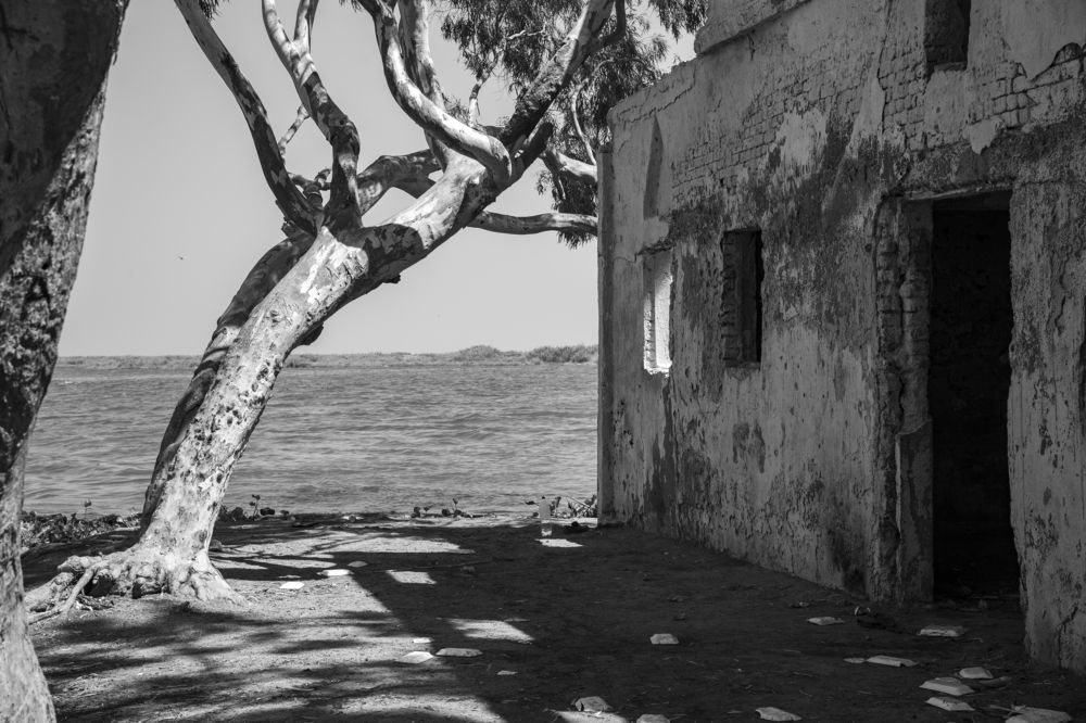 Photograph by Moataz Helmy