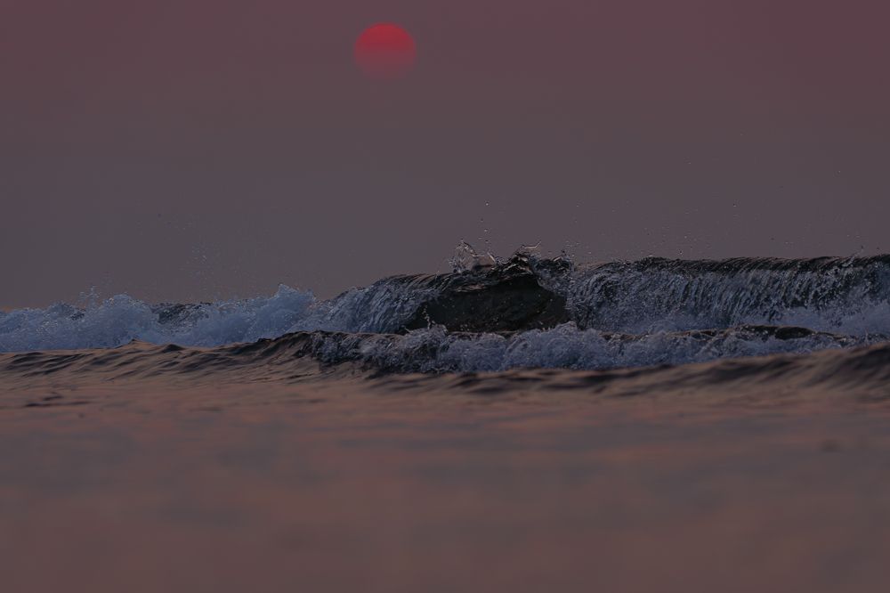 Sunrise over the sea wave