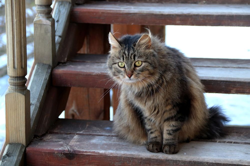 Photograph by Нина Чугунова