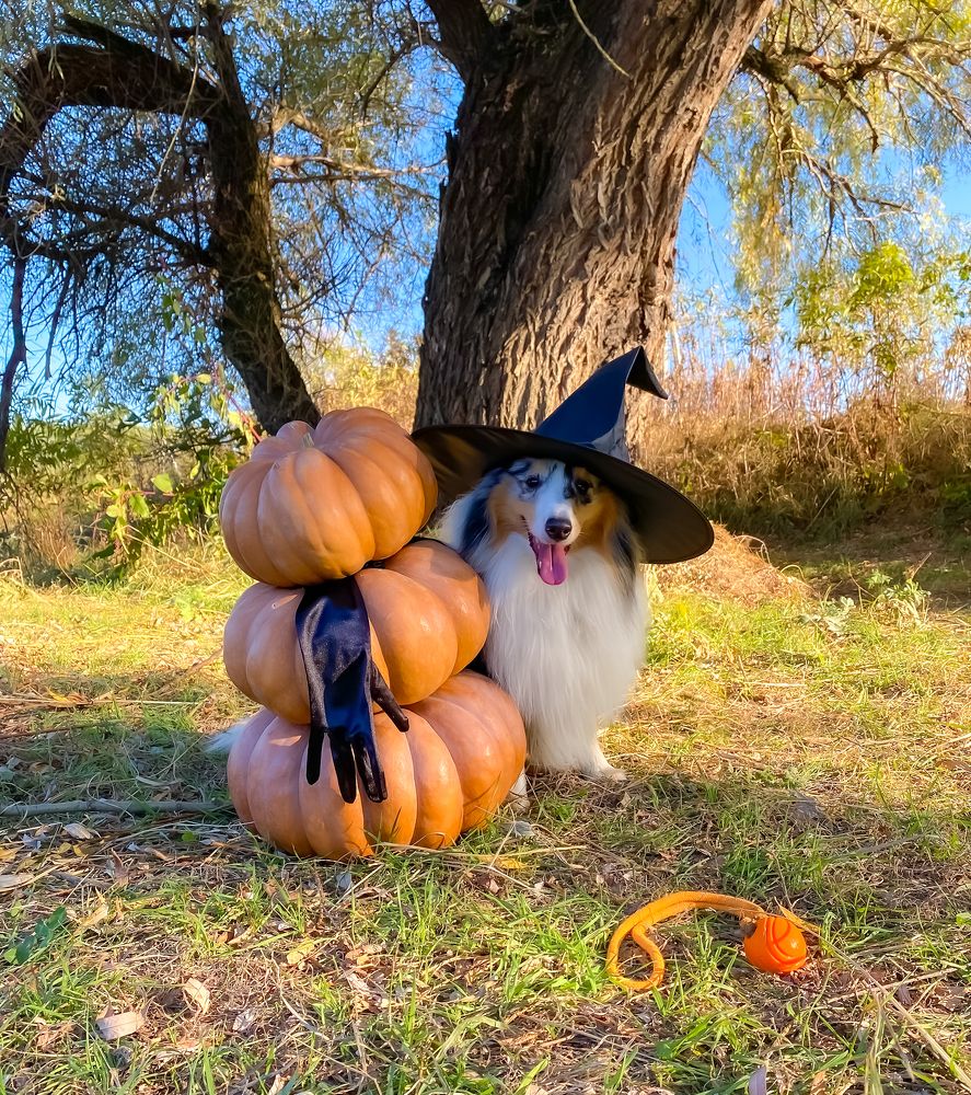 Photograph by Мария Чернецова