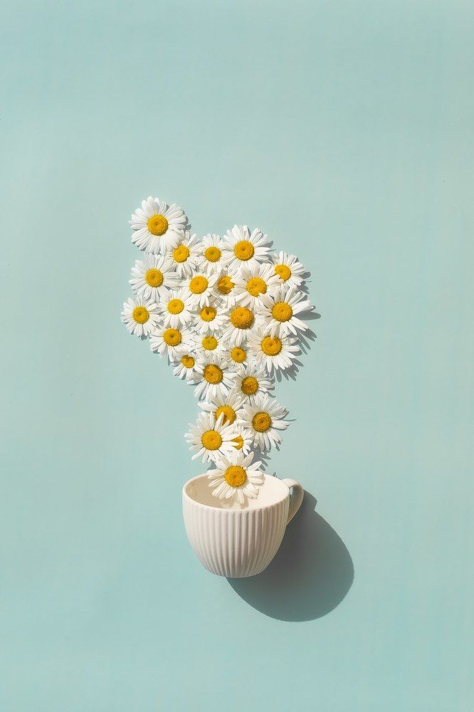 Photograph by Наталья Матюхина