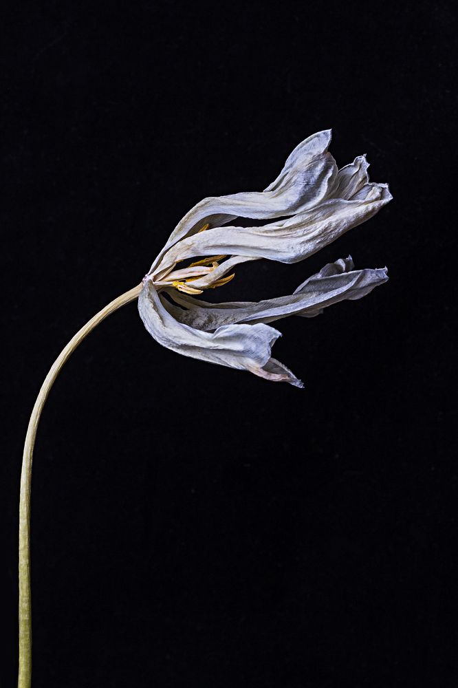 Фотография автора Наталья Василькова