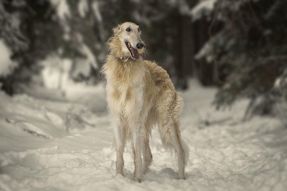Фотография автора Юрий Бутаков