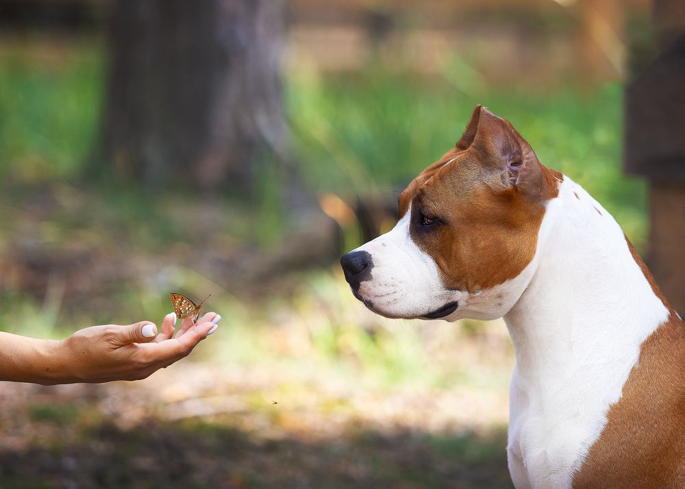 Photograph by jany_star