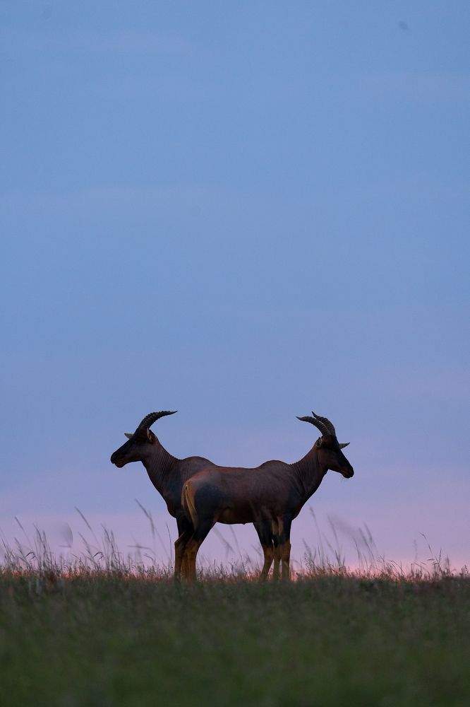 Photograph by Akshita Jain