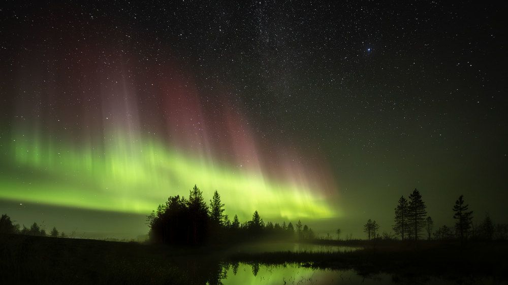 Photograph by Парамонов Григорий