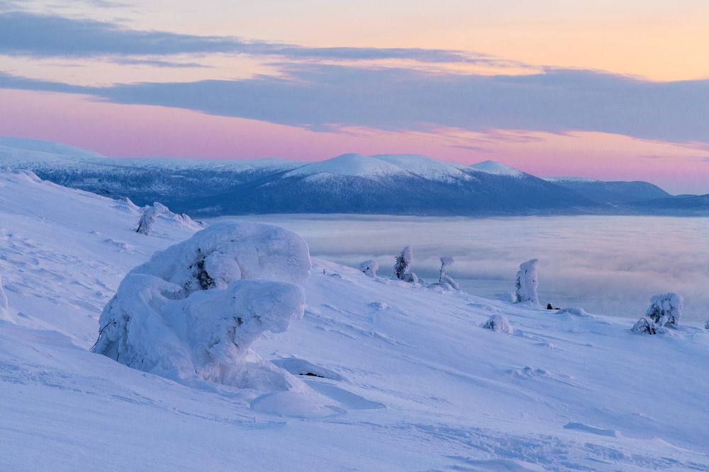 Photograph by Diana Karp