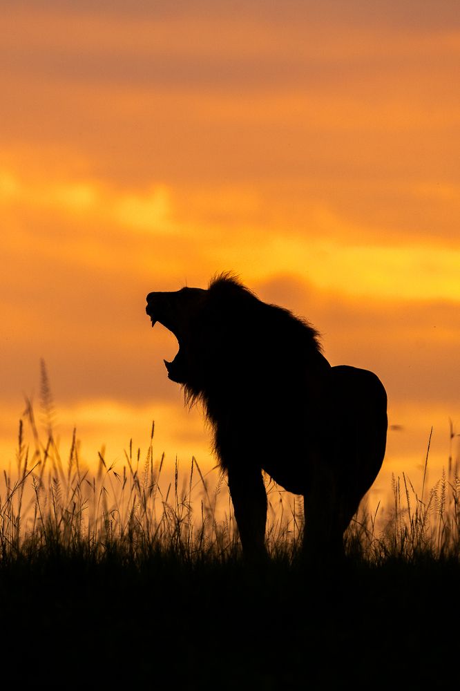 Photograph by Akshita Jain