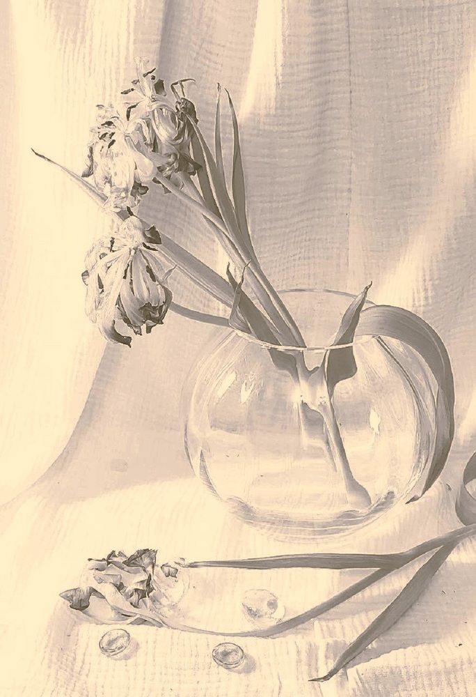 Photograph by Мария Тафеенко