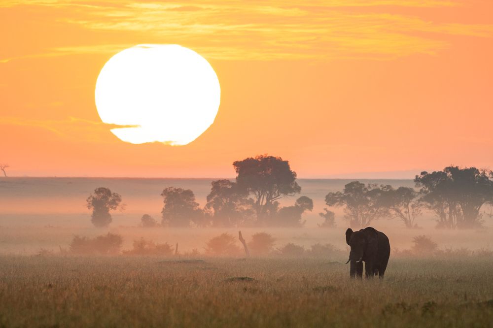 Photograph by Akshita Jain