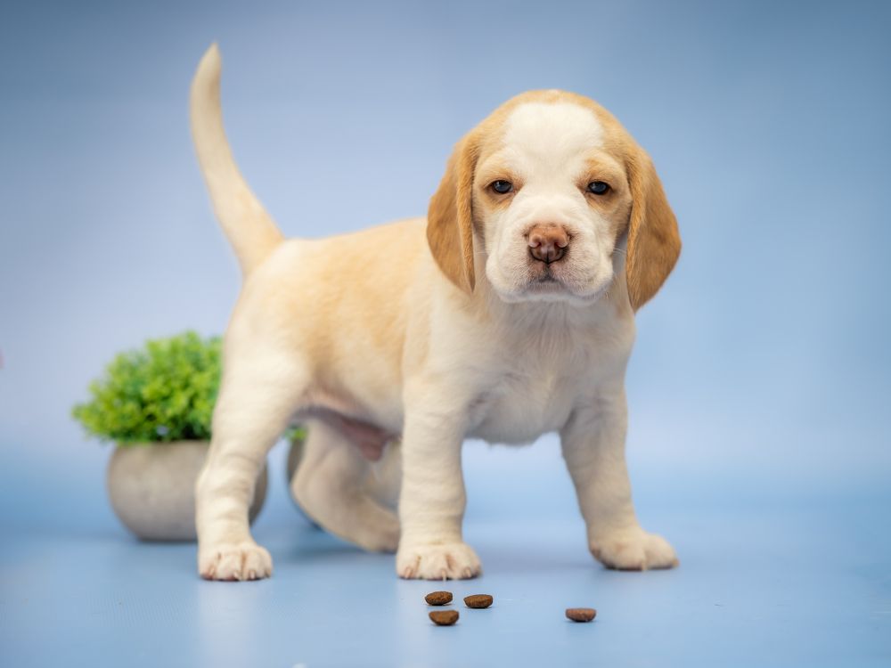 Photograph by Diana Karp