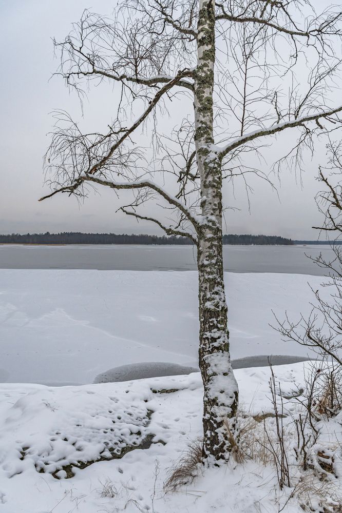 Времена года