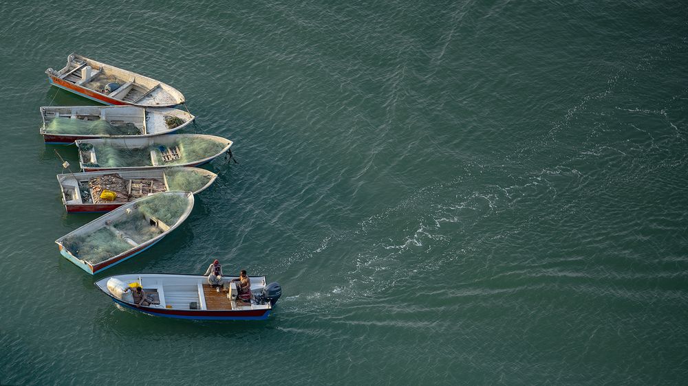 Фотография автора Ladan Khalilinasab