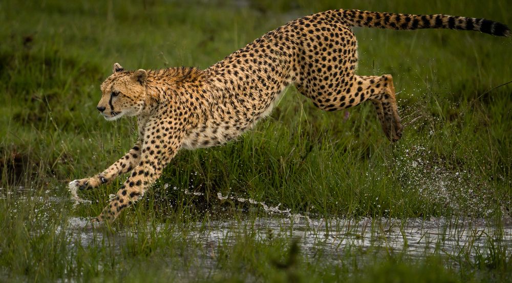 Photograph by Akshita Jain