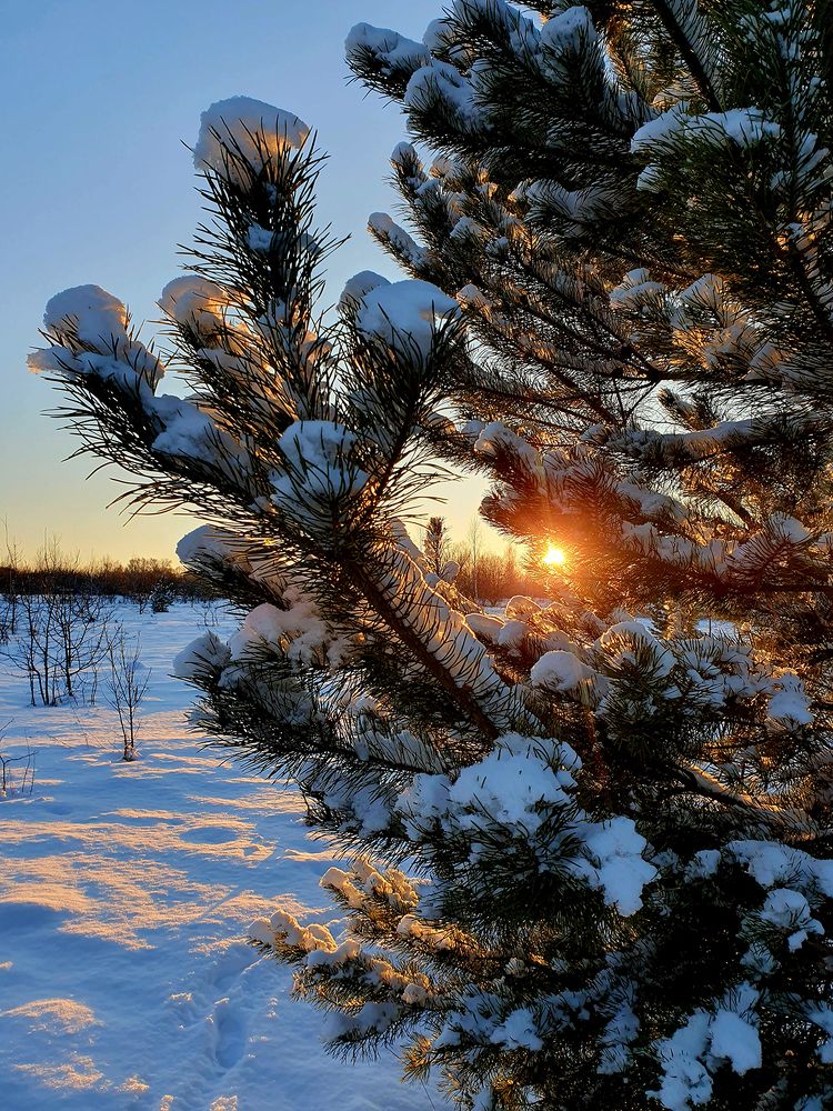 Photograph by Елена Бежина