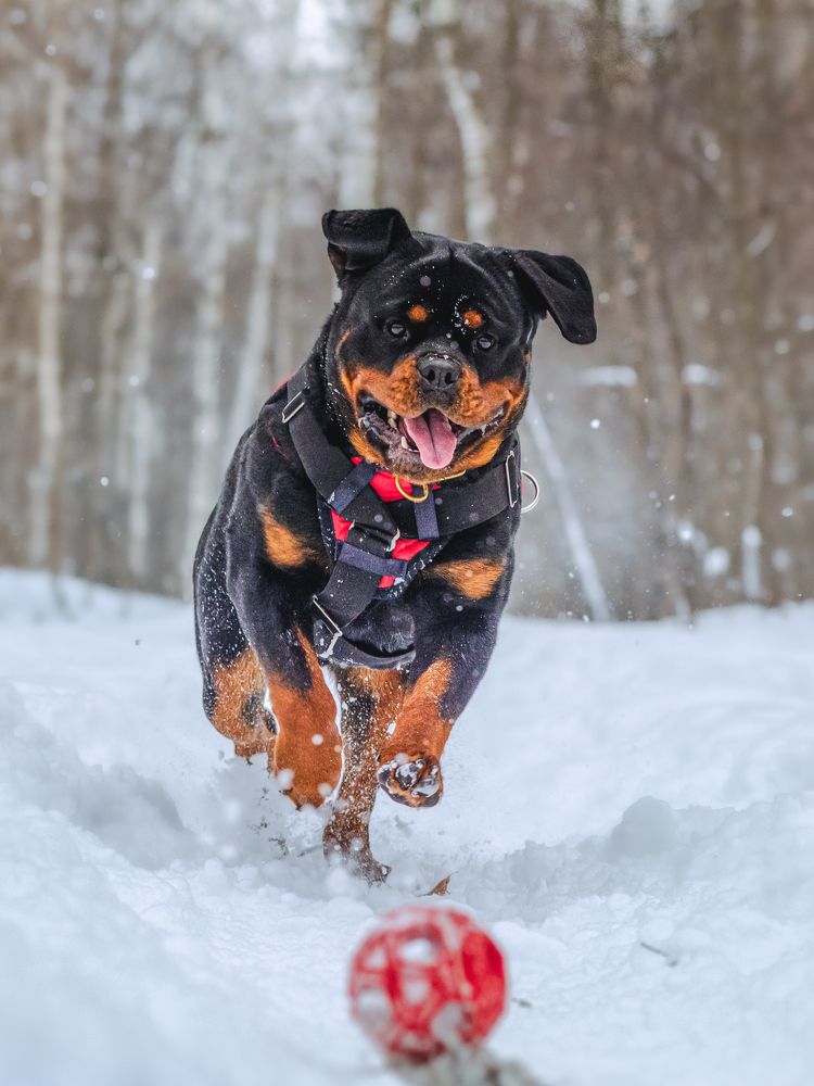 Photograph by Diana Karp