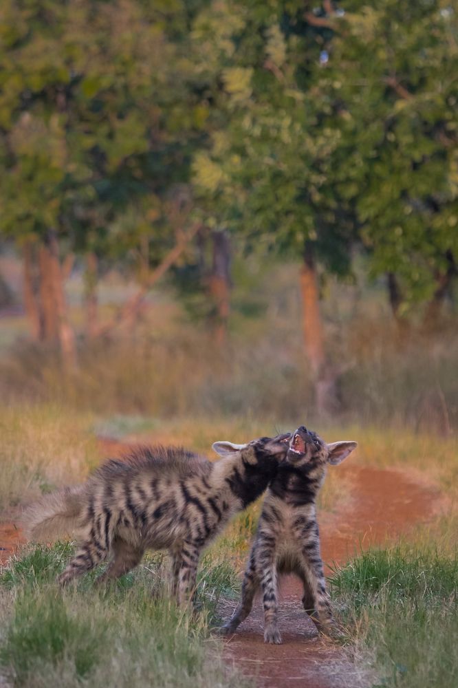 Photograph by Akshita Jain