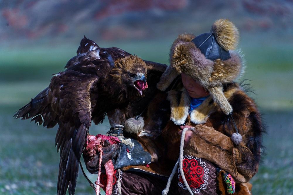 Photograph by Нина Овчинникова