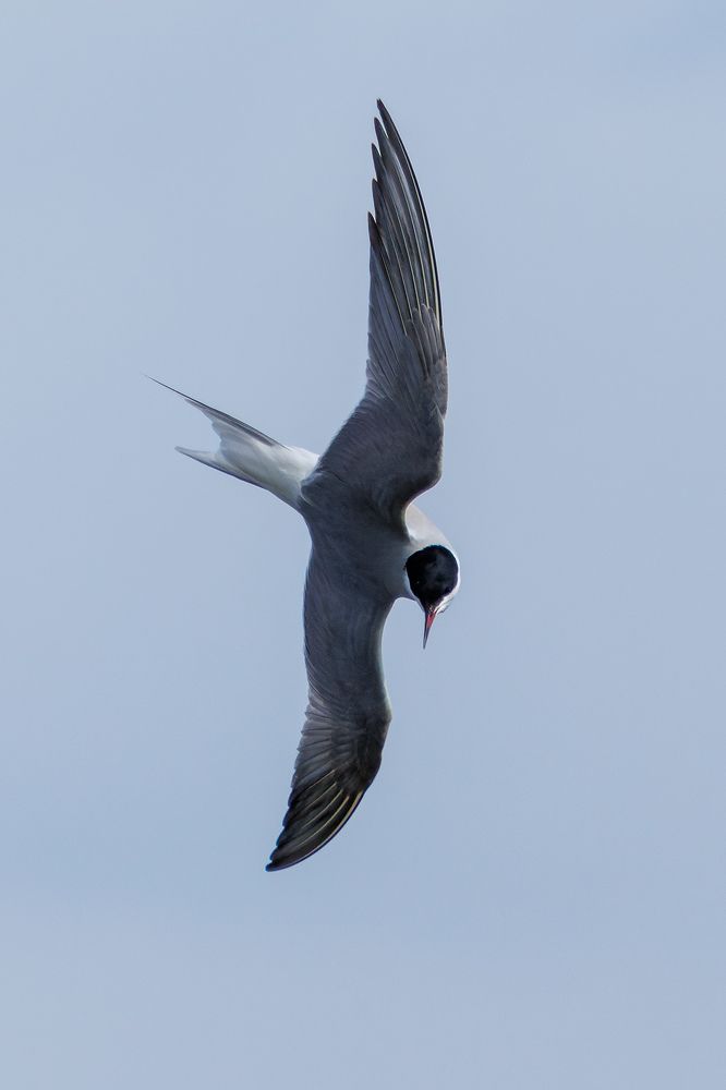 Photograph by Вячеслав Орос