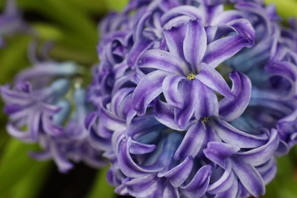 Photograph by Catalin Grădinaru