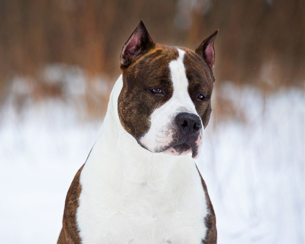 Photograph by jany_star