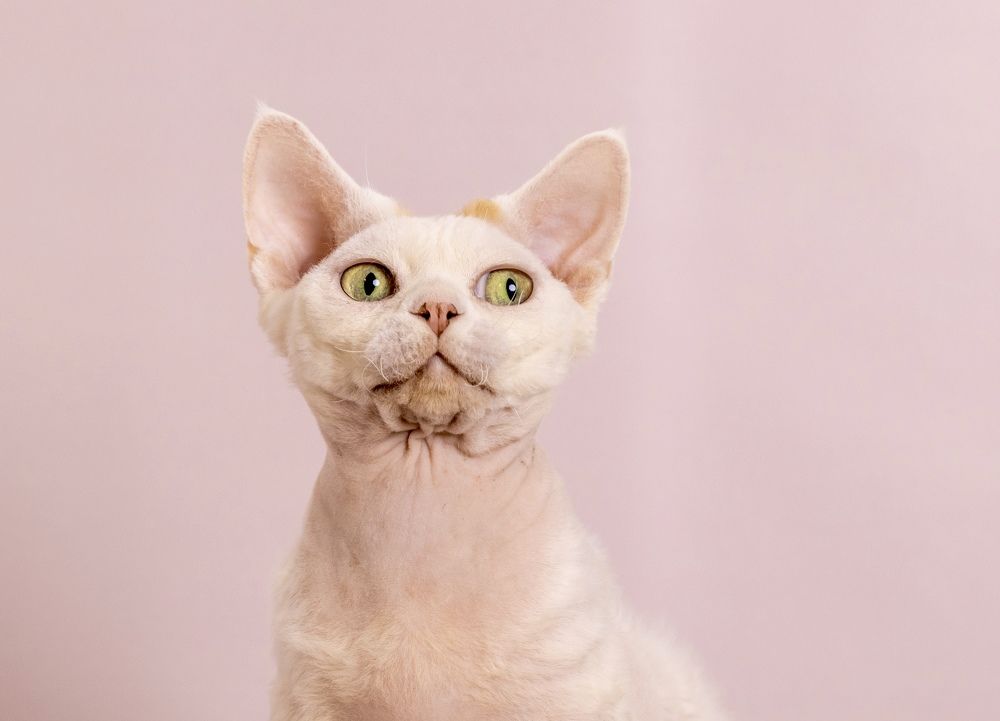 Photograph by Diana Karp