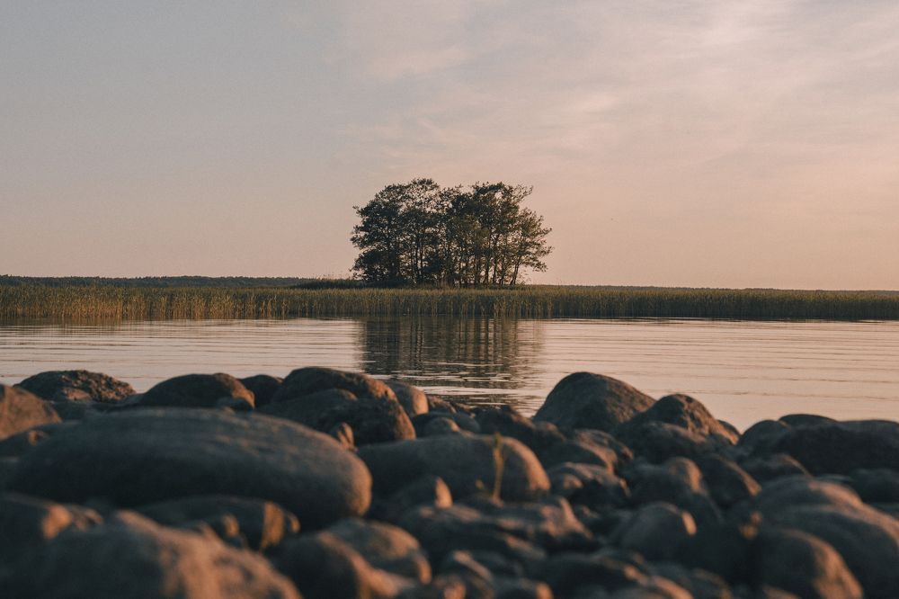 Фотография автора Алексей Туренков