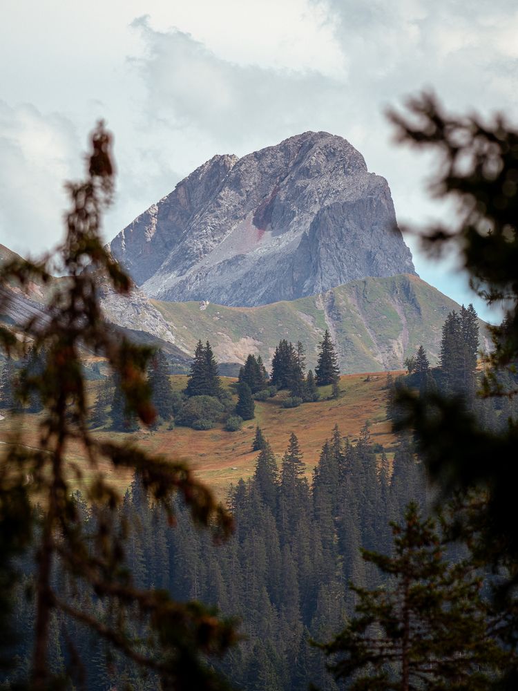 Фотография автора Артур Богородицкий