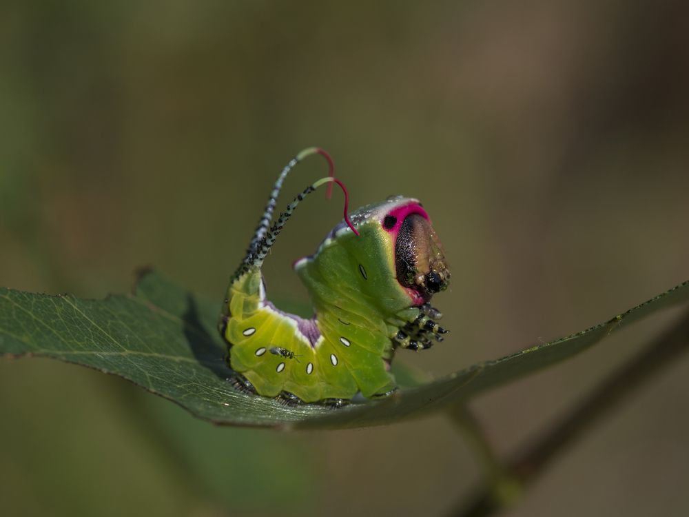 Photograph by Evgeniy Prokoptsov