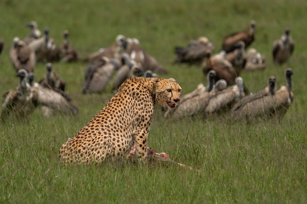 Photograph by Akshita Jain