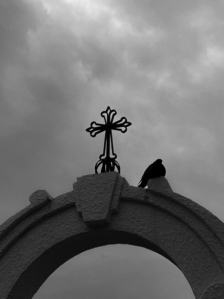 Photograph by Юлия Бакалдина