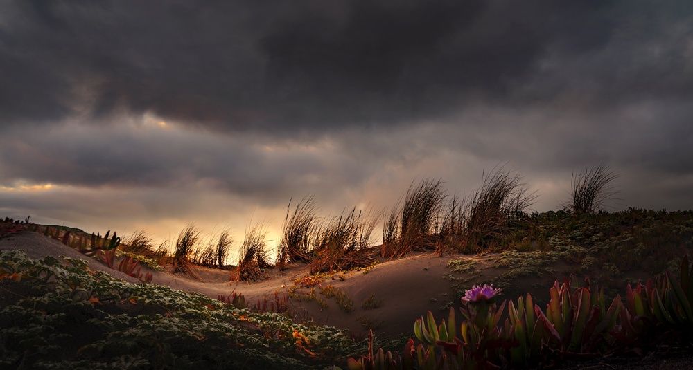 Photograph by Eduardo Modolo