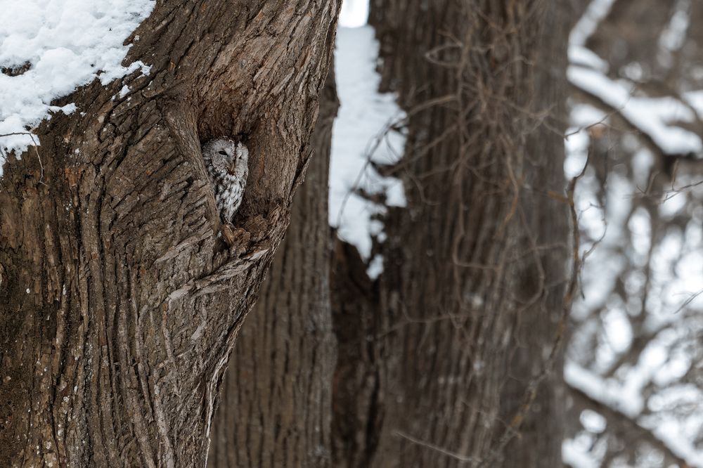 Photograph by Вячеслав Орос