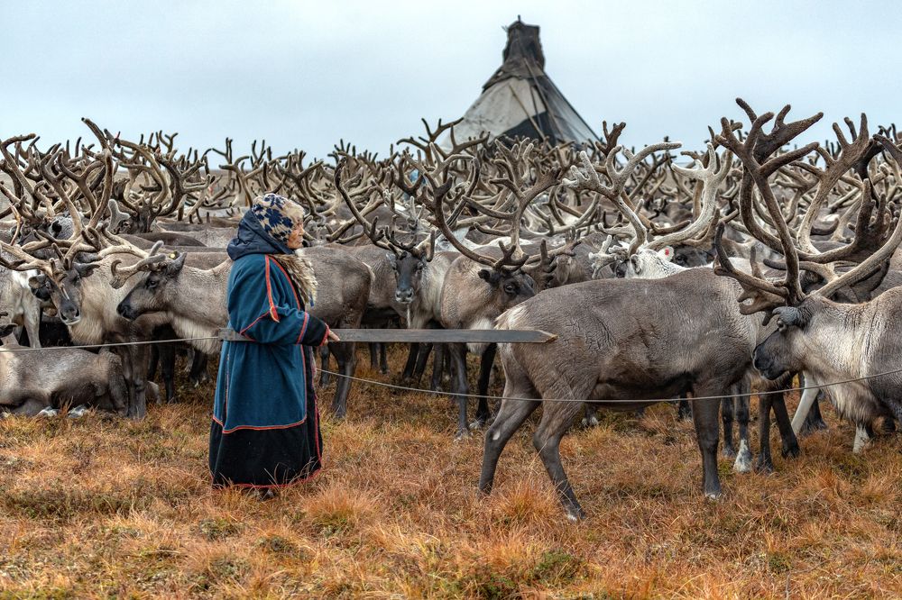 Хозяйка чума
