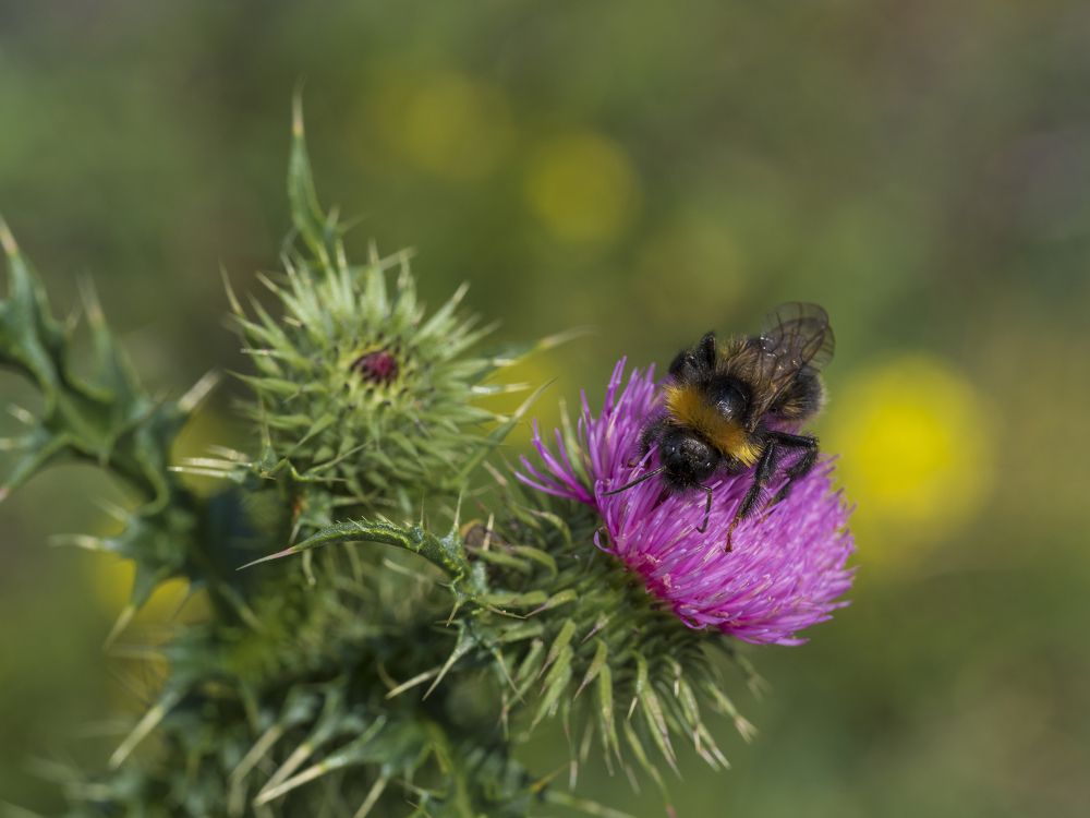 Photograph by Evgeniy Prokoptsov