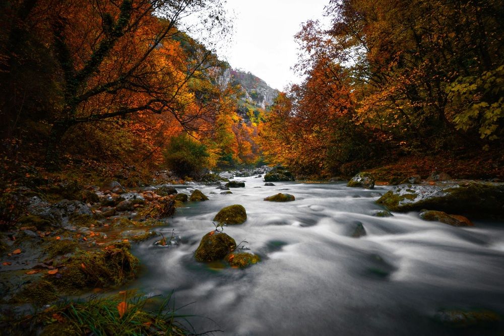 Photograph by Denis Cristian BURMELEAC