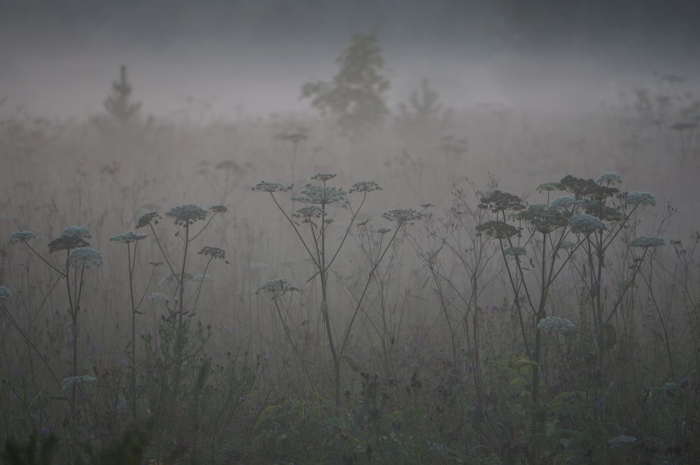 Photograph by Наталья Горбунова