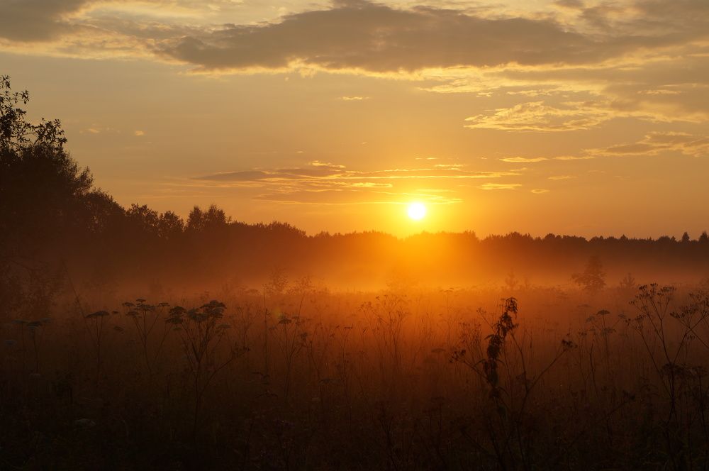 Photograph by Наталья Горбунова