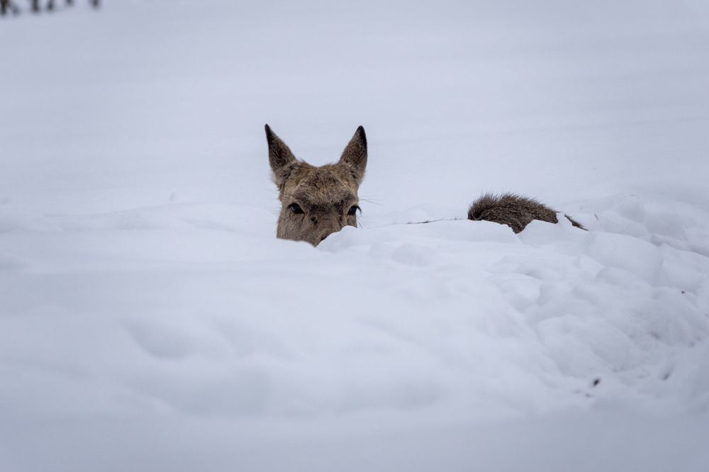 Photograph by Светлана Соболева