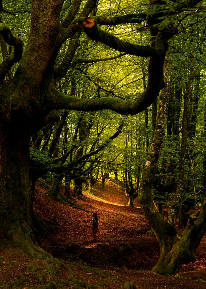 Photograph by Juan Carlos Comeron