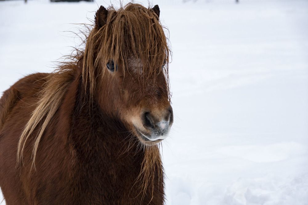 Photograph by Светлана Соболева