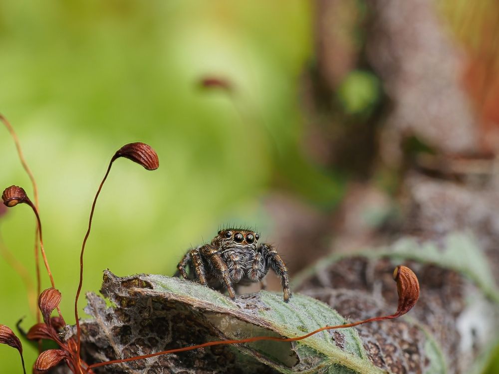 Photograph by Максим Кошелев
