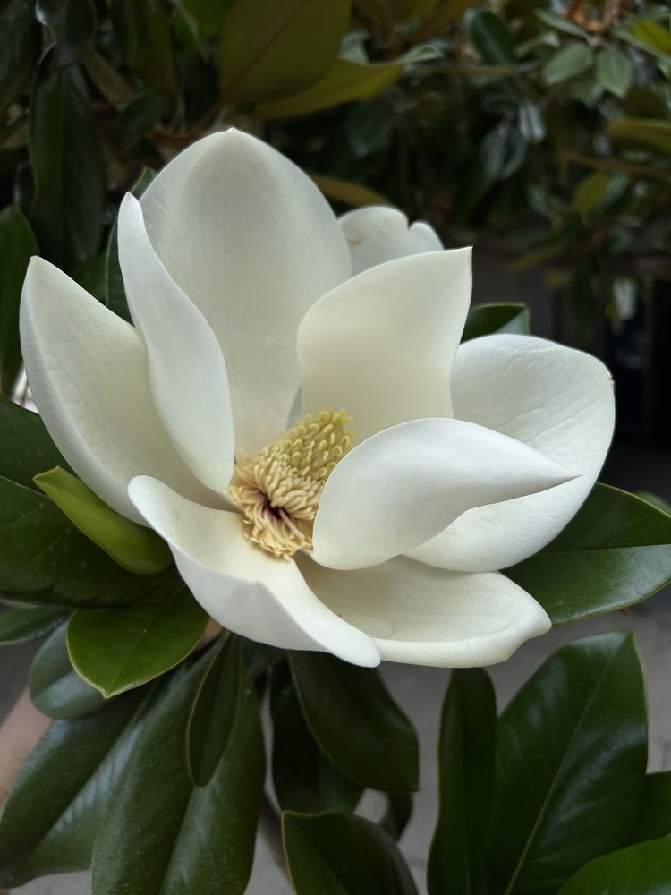 Photograph by Гришина Марина