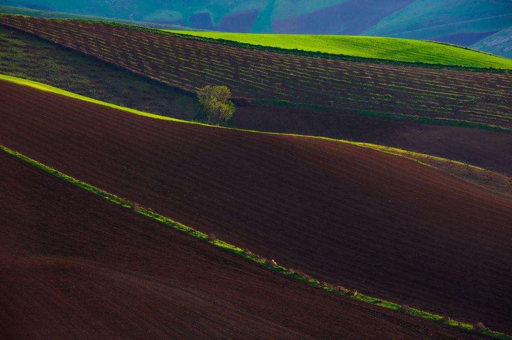 Фотография автора mohammad Alipour