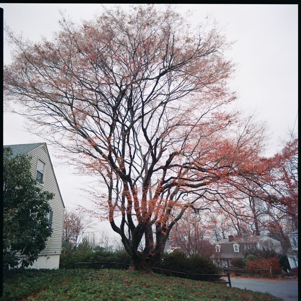 Photograph by Инга Макеева