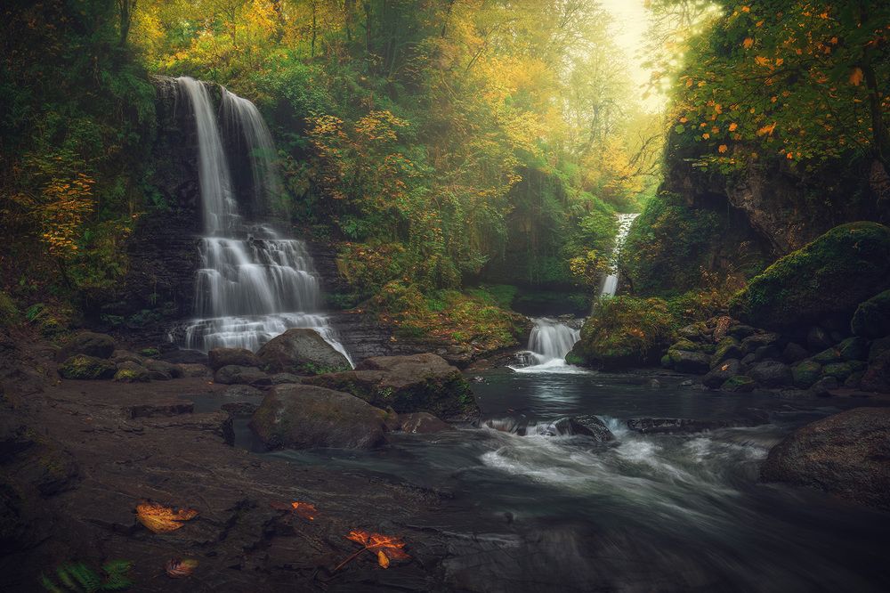 Photograph by Amir Ramezani