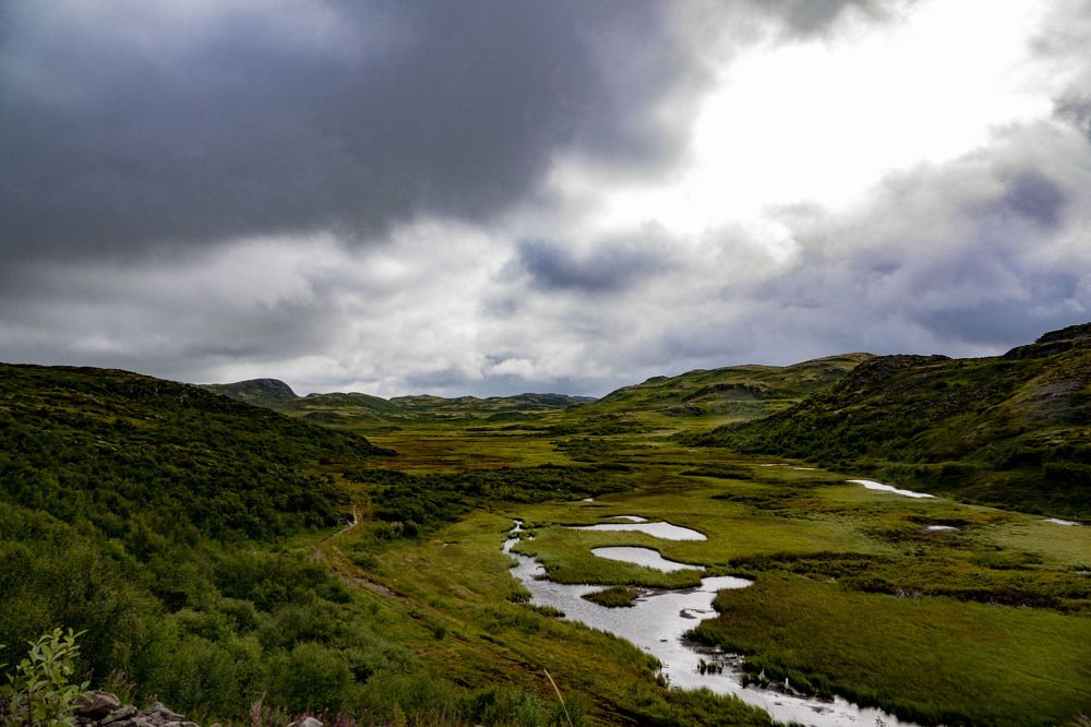 Photograph by Светлана Соболева