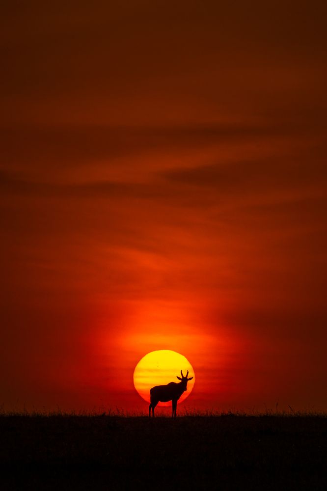 Photograph by Jayakumar MN